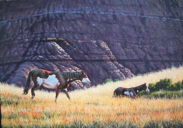 Badlands Ponies - Wild Horses by Bill Scheidt